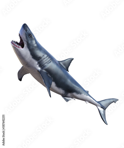 A captivating image of a Great White shark to use as a book cover or poster design? Browse through an extensive collection of high-quality shark images to find the perfect one.