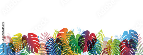 sfondo, piante, vegetazione tropicale lussureggiante, 