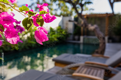 Beautiful natural tropical plants in Bali, Indonesia