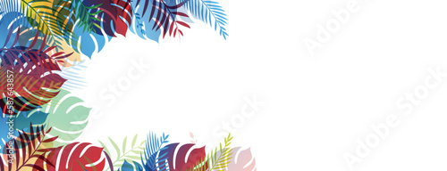 sfondo, piante, vegetazione tropicale lussureggiante, 