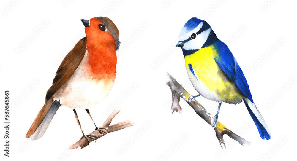 Fototapeta premium Birds isolated on white background