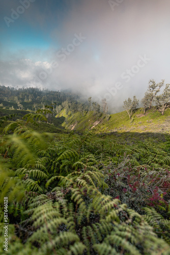 Amazing volcanic landscape with lush vegetation of Ijen volcano complex during sunrise, Java, Indonesia photo