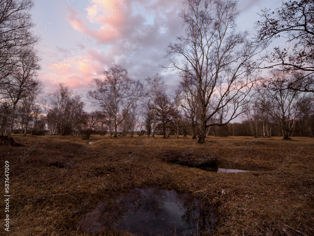 Fototapeta premium Dolinen im NSG Grettstädter Riedwiesen im Abendlicht, Landkreis Schweinfurt, Unterfranken, Bayern, Deutschland