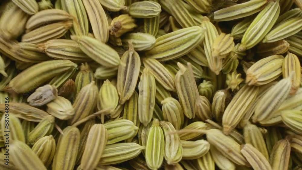 Dry fennel seed moving macro shot close up. Dry fennel seed moving macro shot close up.