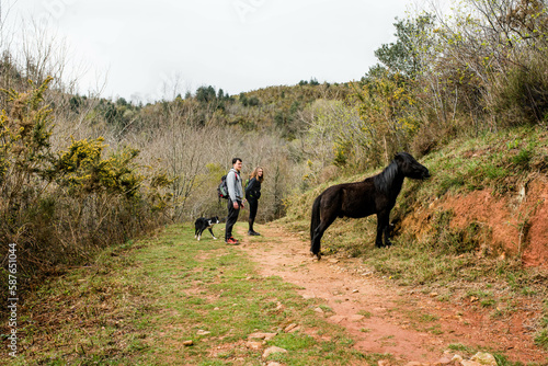 Young couple hiking or trekking in the Basque Country encountering the famous wild ponies