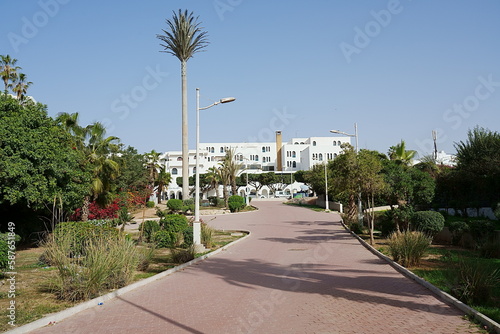 Exotic plants with promenade in african AGADIR city in Morocco
