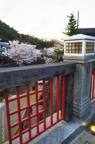 有馬温泉と桜