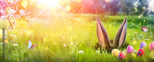 Easter - Ears Bunny Hidden In Hole On Field Grass With Eggs And Abstract Defo...