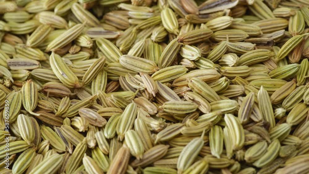 Fennel seeds. Dry fennel seed fall down, macro close up. Fennel seeds. Dry fennel seed fall down, macro close up.