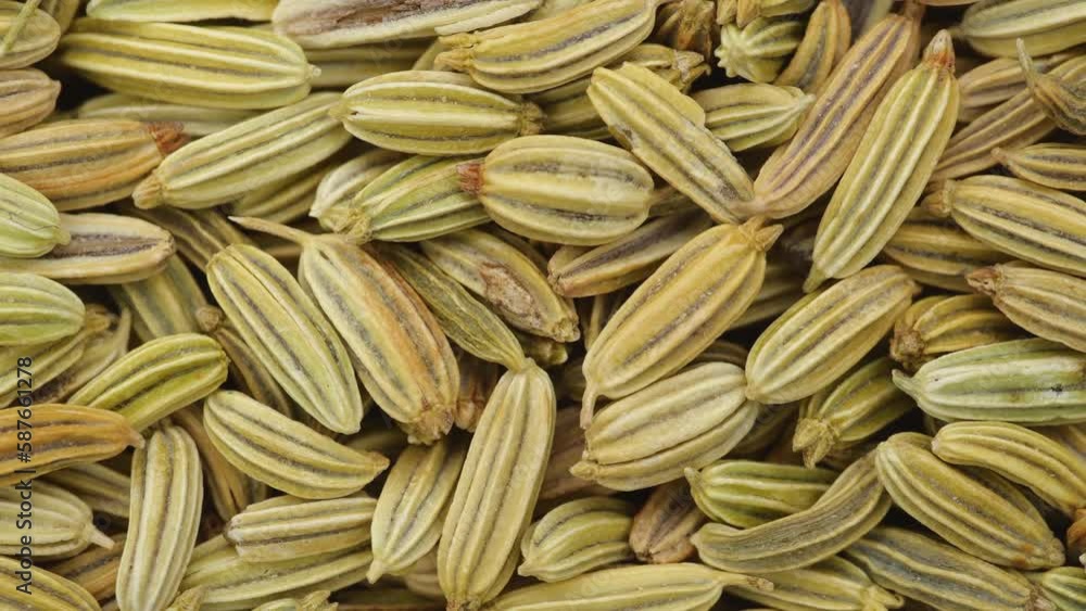 Fennel seeds rotation. Macro shot. Fennel seeds rotation. Macro shot.