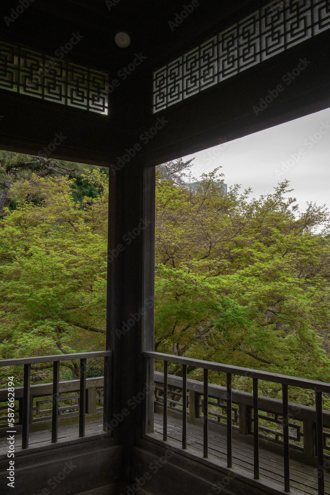 Fototapeta premium japanese bridge in the park