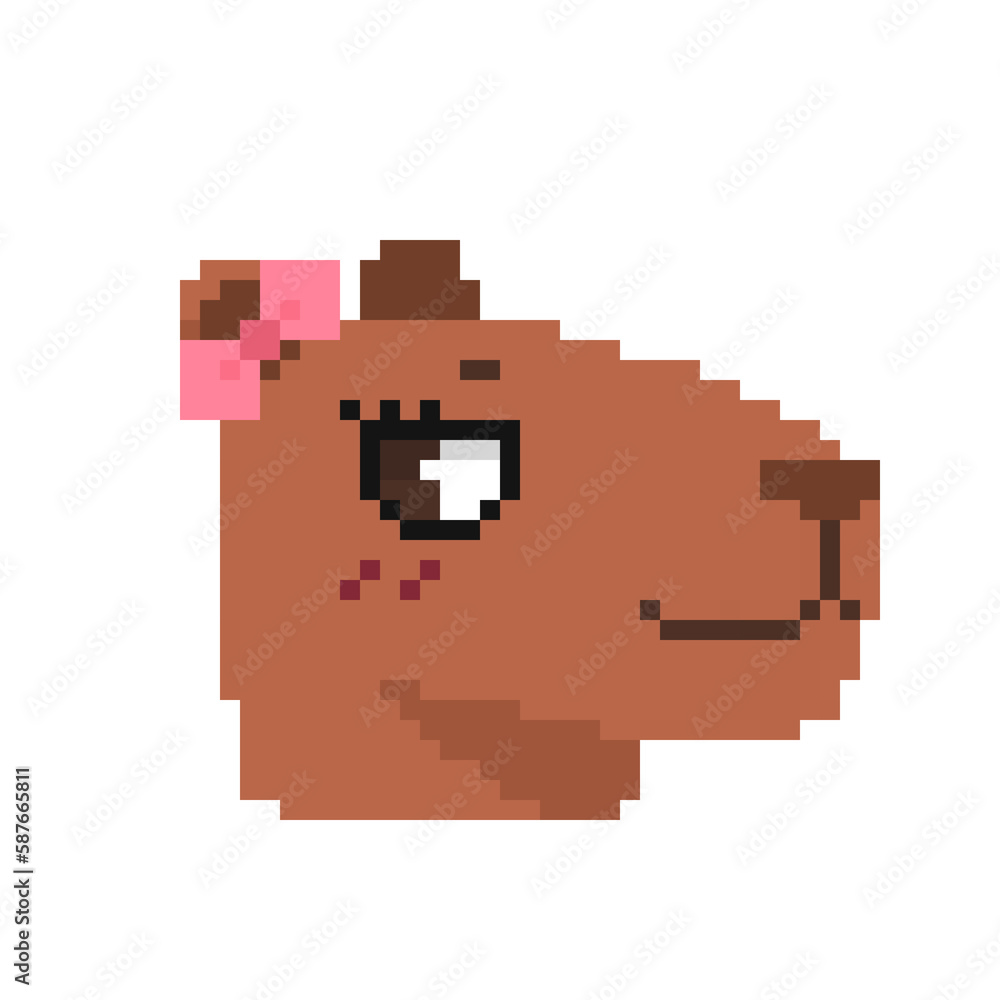 Obraz premium Capybara