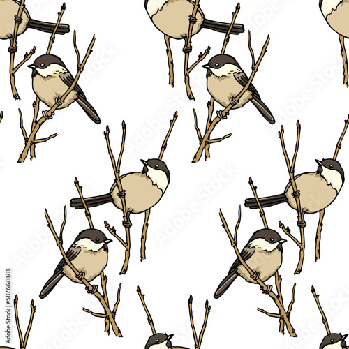 Vector seamless pattern with hand drawn Willow Tits sitting on a tree branch. Ink drawing, beautiful animal design elements. Perfect for prints and patterns