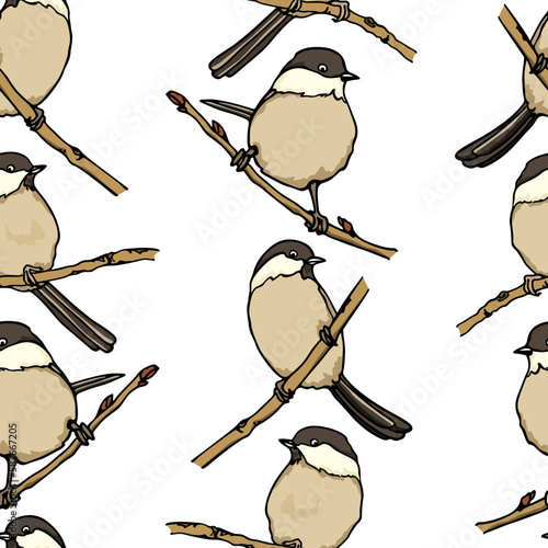 Vector seamless pattern with hand drawn Willow Tits sitting on a tree branch. Ink drawing, beautiful animal design elements. Perfect for prints and patterns
