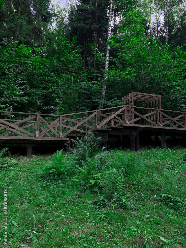 Fototapeta premium wooden bridge in the forest