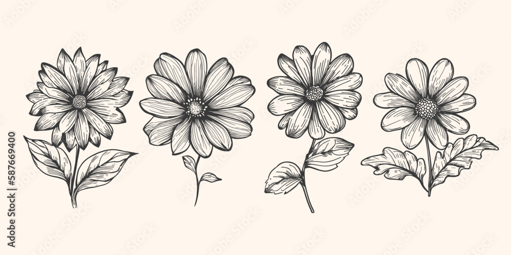 Line art of flower set pencil sketch