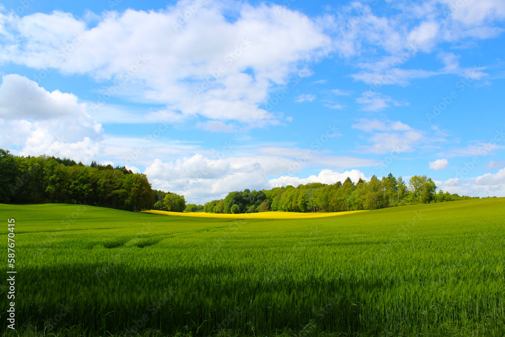 Obraz premium Landschaft