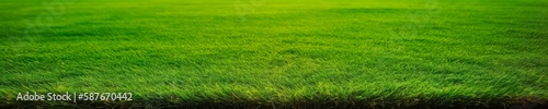 Neatly Trimmed Green Grass Background for Landscaping or Golf Course Design. Generative AI.