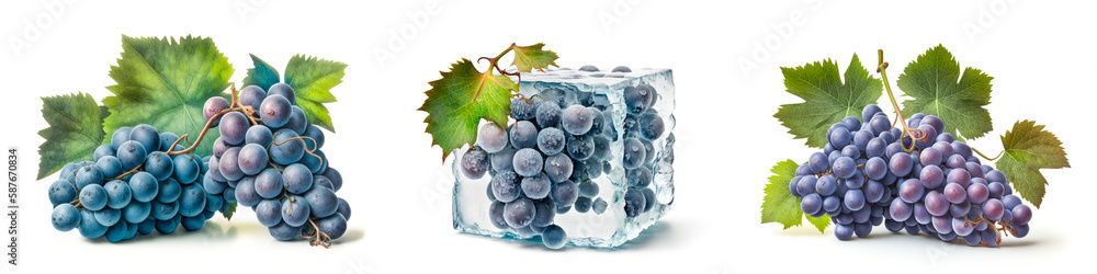 Fototapeta premium Fruit isolated on white background. Set of ripe juicy blue grapes with leaves on a white background. Generative AI