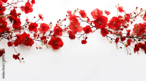 red flower, white background, masterpiece, high quality