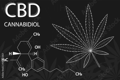 Cannabis leaf of Sativa with formula cannabidiol