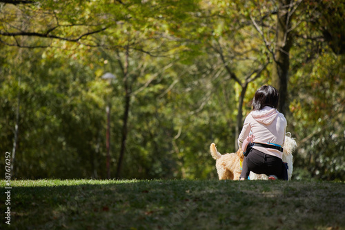 公園で犬を連れて散歩している女性の後ろ姿 © zheng qiang