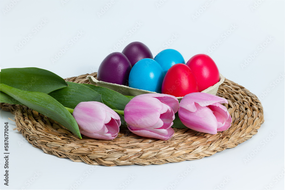 Pink tulips with colored Easter eggs on a whita background. Easter