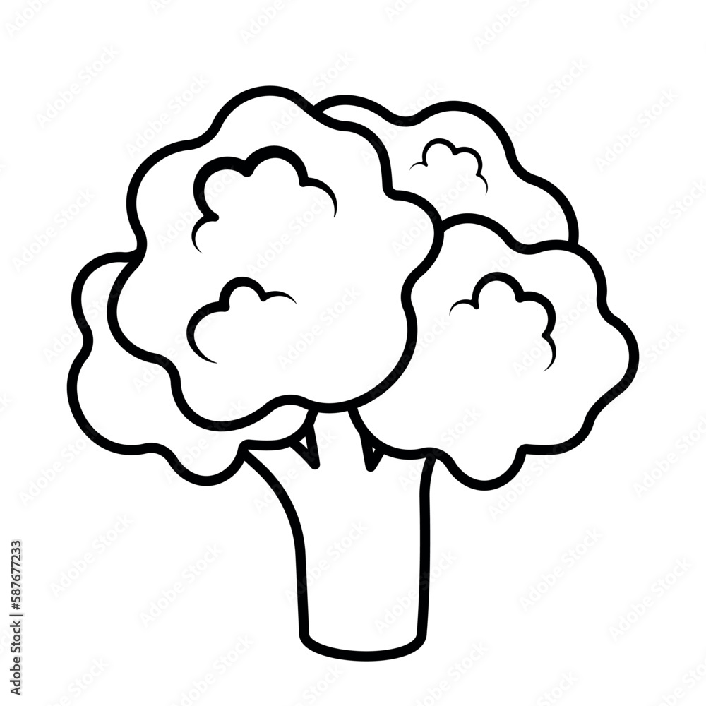 Broccoli Black Line Vegetable Icon Vector Illustration Broccoli Black Line Vegetable Icon Vector Illustration