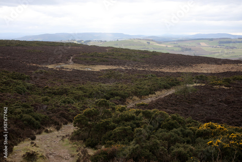 View of surrounding countryside from Brimmond Hill - Westhill - Aberdeen city - Scotland - UK