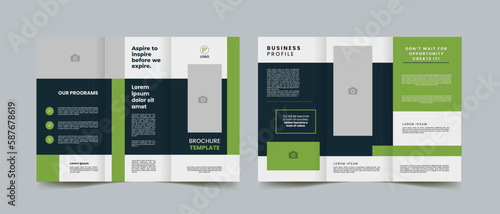 Business Trifold Brochure Layout Template 