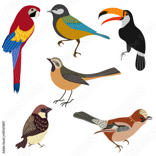 Colorful bird collection. Collection of cute hand drawn bird doodles. Black on white vector set