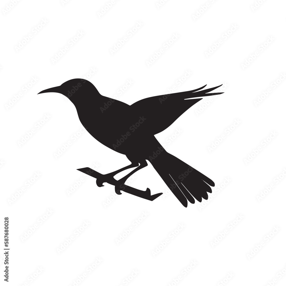 Obraz premium nice vector images silhouette bird
