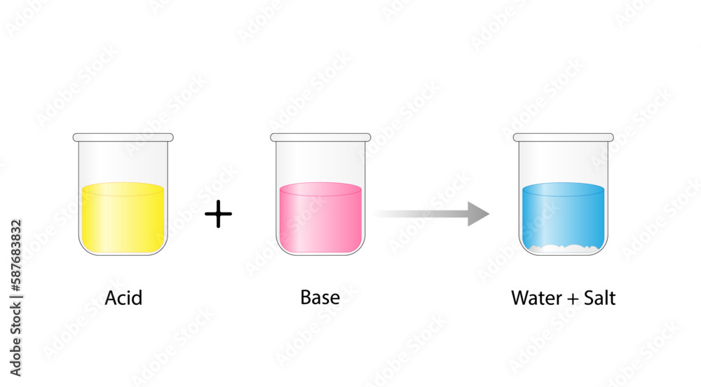 Acidbase reaction. chemical reaction neutralization. HCl hydrochloric