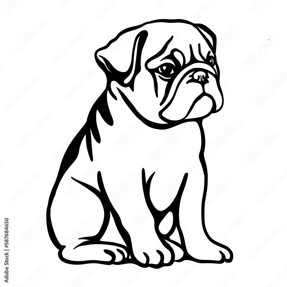 English puppy Dog in clothes line art vector