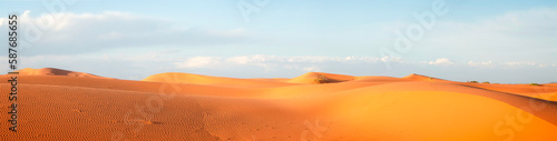 Dunes in the Sahara desert  Merzouga desert  grains of sand forming small waves on the dunes  panoramic view. Setting sun. Morocco