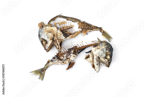 The food waste. Remains of fried fish. Fishbone and leftover meat of mackerel after eat isolated on white background.