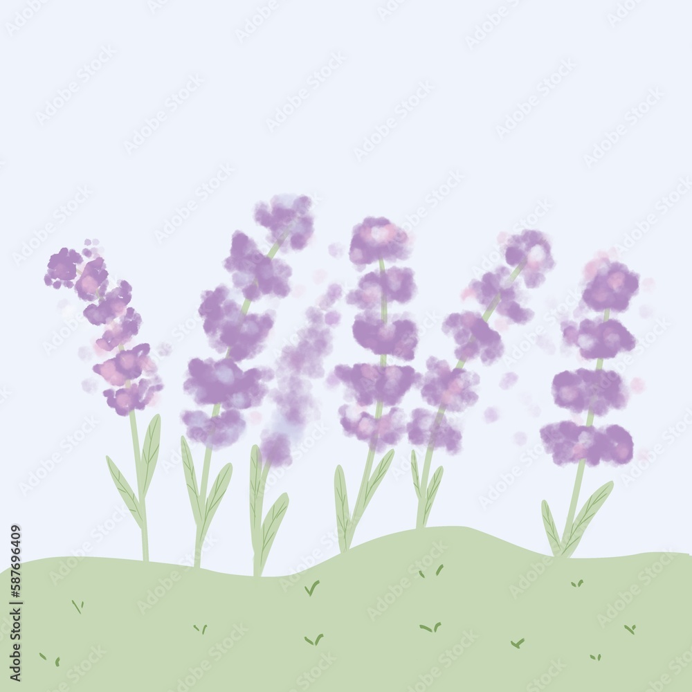 Obraz premium Purple flowers