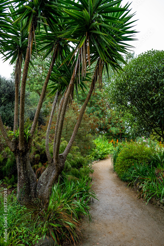 Exotic Garden Of Village Roscoff At The Atlantic Coast Of Brittany, France; Jardin Exotique De Roscoff Exotic Garden Of Village Roscoff At The Atlantic Coast Of Brittany, France; Jardin Exotique De Roscoff