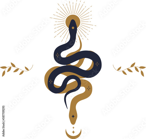 Magic snake with moon, star and crescents. Mystical symbols in a trendy minimalist style on a light background. Cosmic minimalistic scene with snake, branch, celestial bodies.