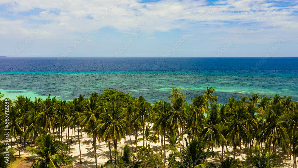 Fototapeta premium Beautiful tropical beach with white sand, palm trees, turquoise ocean. Panglao island, Bohol, Philippines.
