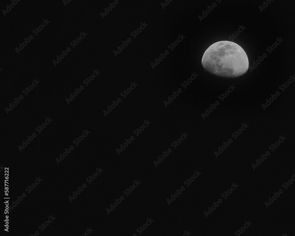 Fototapeta premium 銀色の月