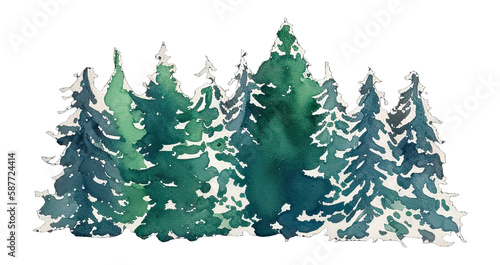 watercolor pine tree with hand drawn illustration style. generative ai © slowbuzzstudio
