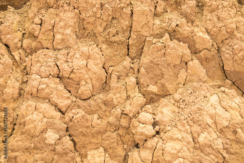 texture of the Dry Mud