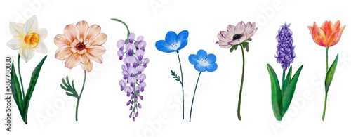 水彩風の春のお花セット　ラスター素材