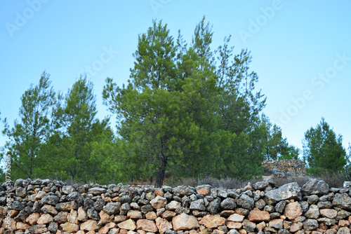 View of an old stone wall of stacked rocks in a country place. Agricultural terrace