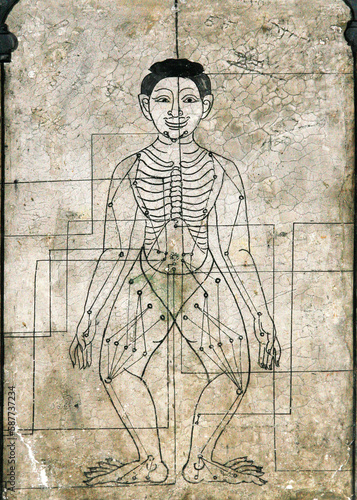 Canvastavla Thai massage acupressure points on wall mural in Wat Pho, Bangkok