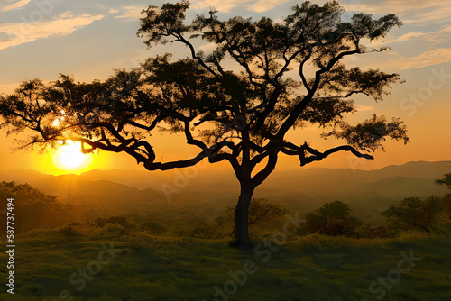 Silhouette of Acacia Trees at a dramatic sunset in Africa. generative AI © Riocool