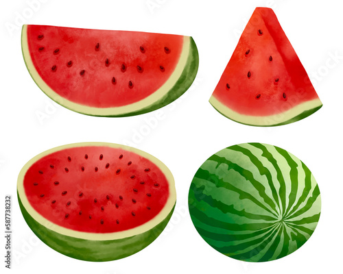 Set of watercolor watermelon. Hand drawn summer watermelon illustration