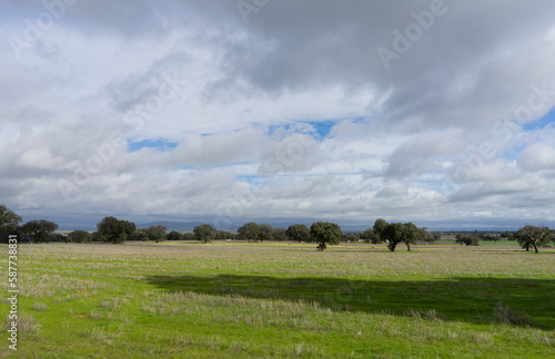 Green field  trees and blue sky with white clouds. Landscape for wallpaper. Navalvillar de Pela. Badajoz