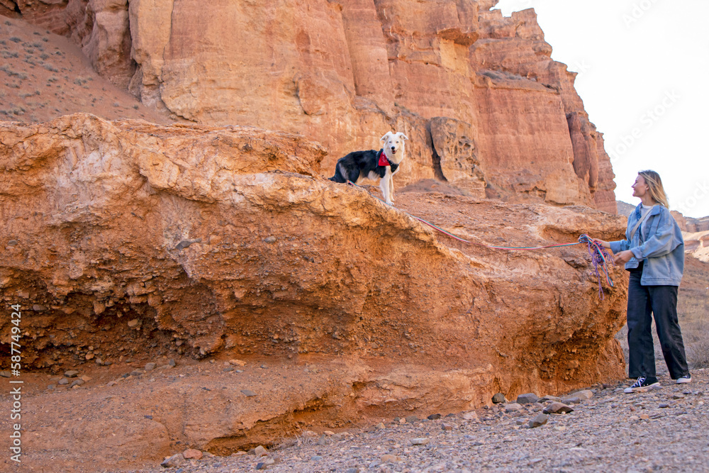 A young woman with her cute border collie dog, she has a white head, walks through the canyon. Lovely pet